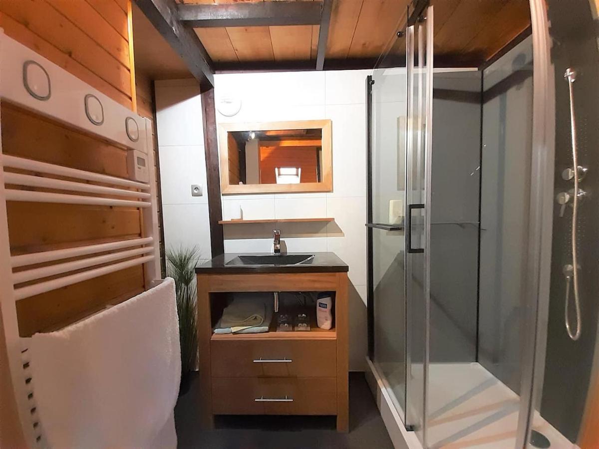 אנסי Lodge & Castle - Vue Chateau - Climatisation - Majord'Home מראה חיצוני תמונה